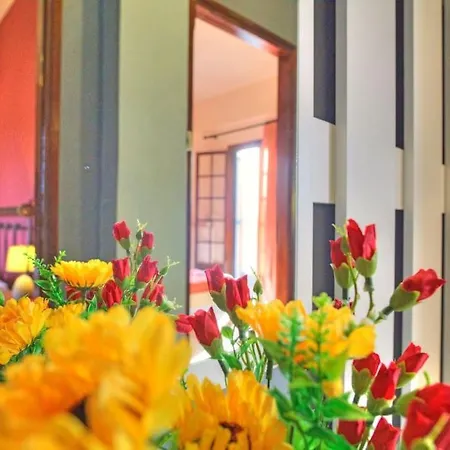 Apartment Maielia Acharavi *